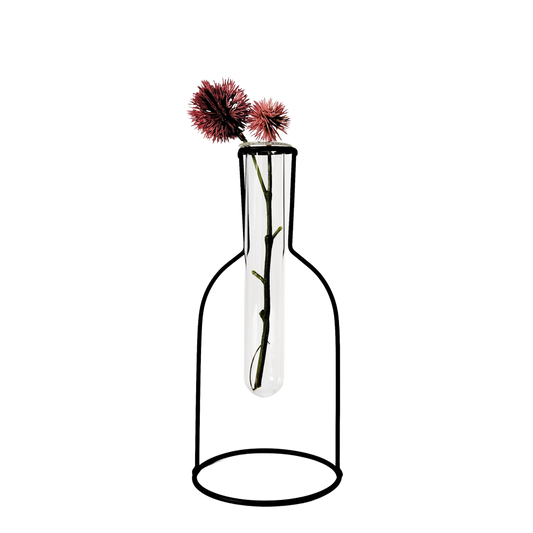 Kinkora Bottle Frame Test Tube Propagation Vase Black