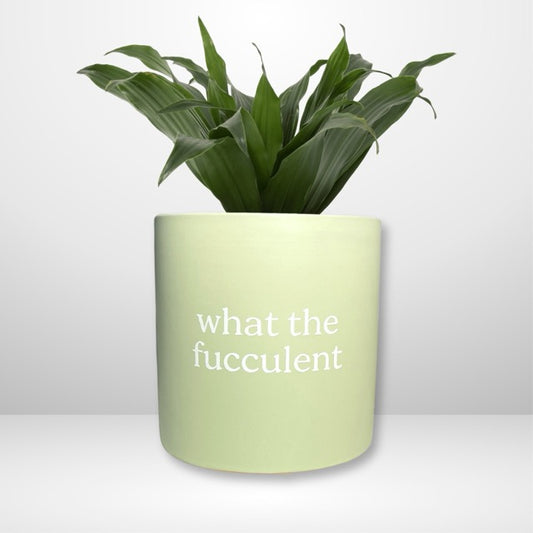FUN plant pots, gifts for plant lovers, gifts for gardeners, funny plant pots, novelty plant pots, indoor plant pot, garden pots in Brisbane, plant pots Brisbane, plant pots near me, indoor planter pot, pot planter, indoor plant pots Brisbane, interesting plant pot, mad plant ladies, 
