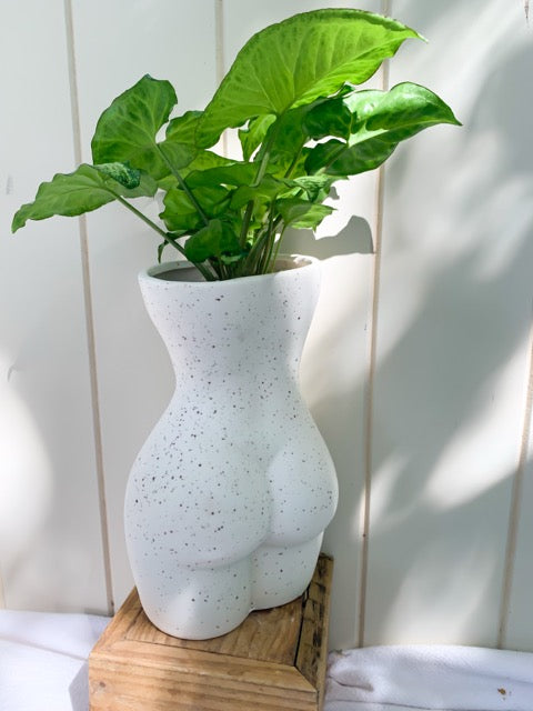 FUN plant pots, gifts for plant lovers, gifts for gardeners, funny plant pots, novelty plant pots, indoor plant pot, garden pots in Brisbane, plant pots Brisbane, plant pots near me, indoor planter pot, pot planter, indoor plant pots Brisbane, interesting plant pot, mad plant ladies, 