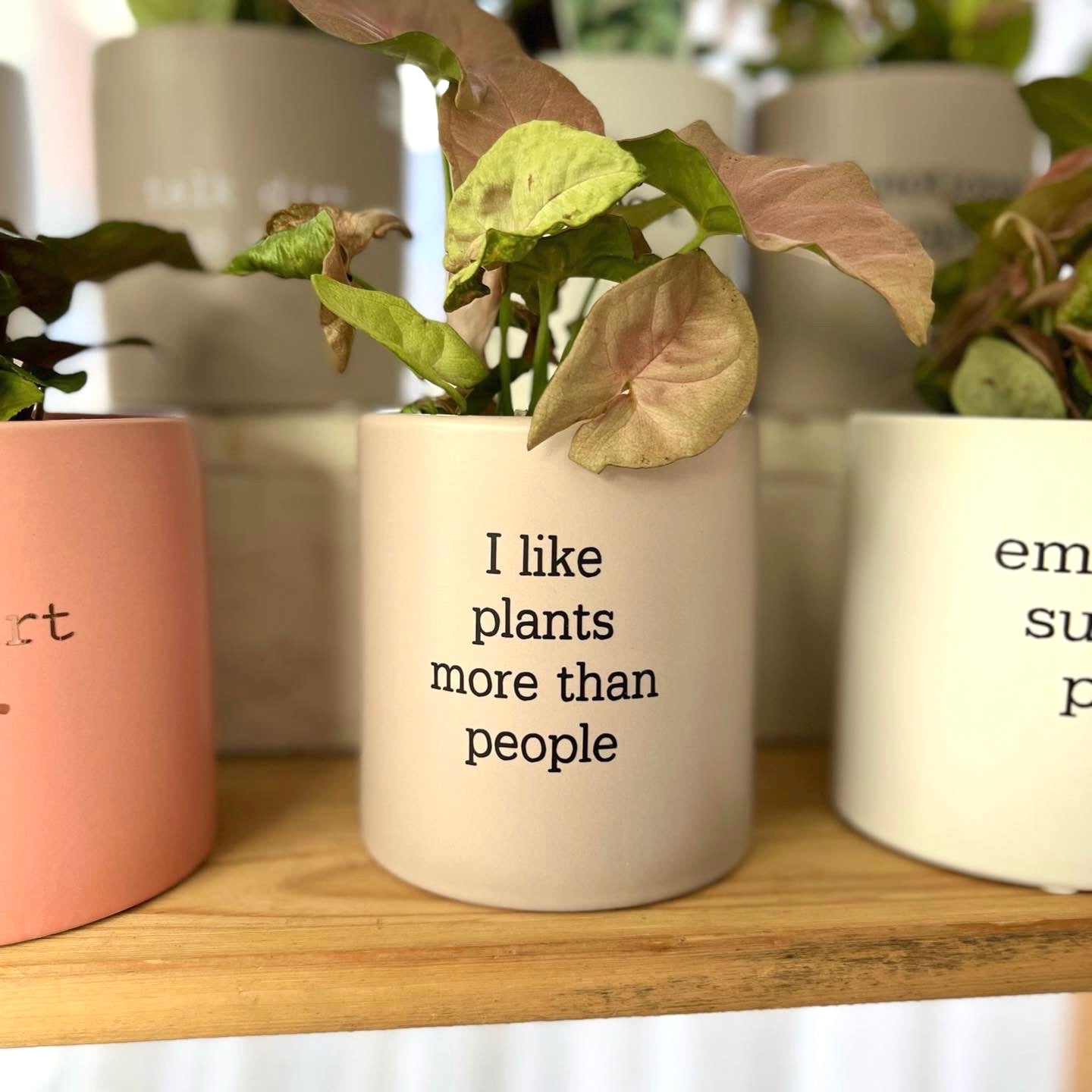 'I like plants more than people' Planter