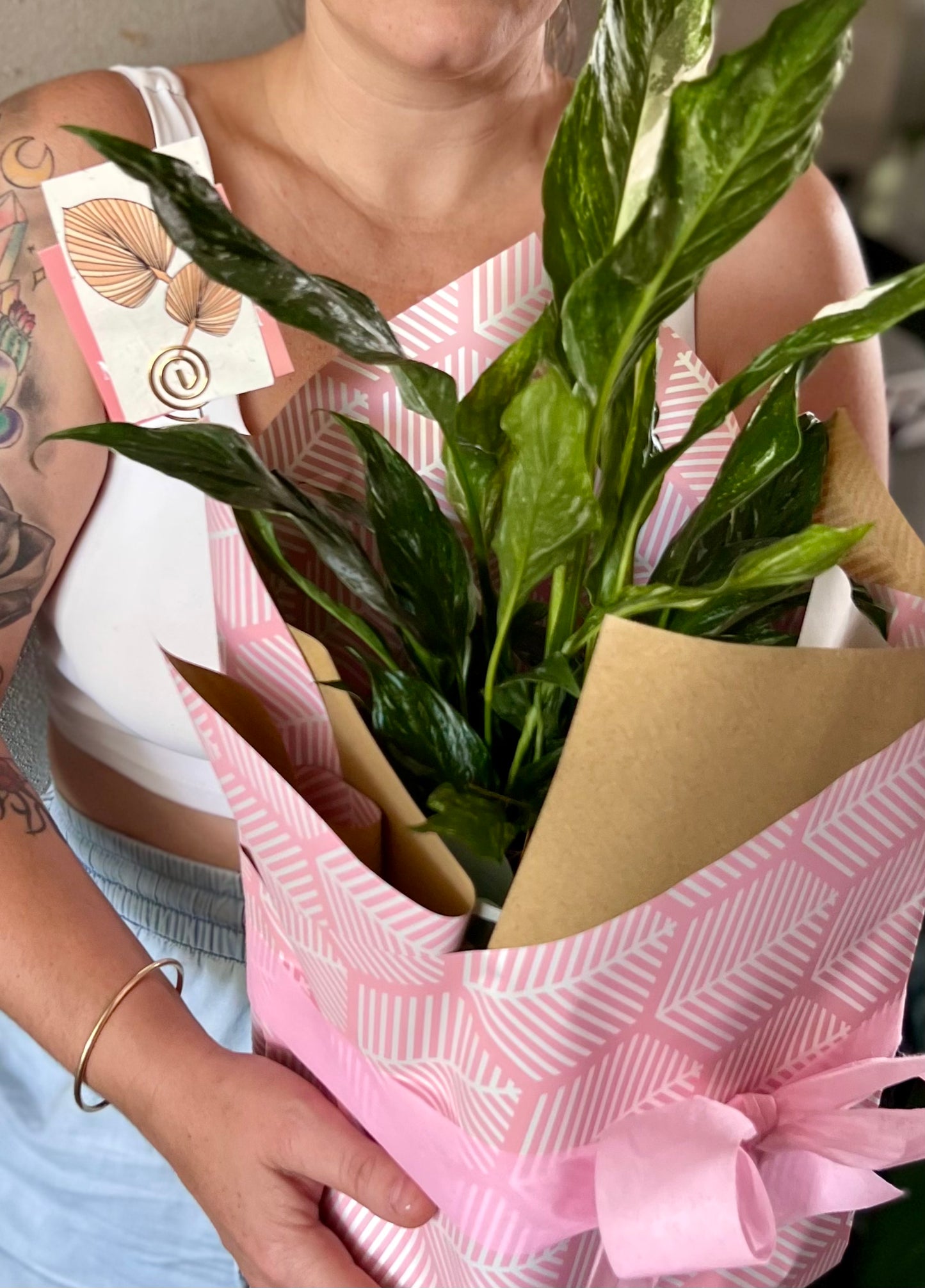 Peace Lily + Pot gift - FREE Same/next day gift delivery